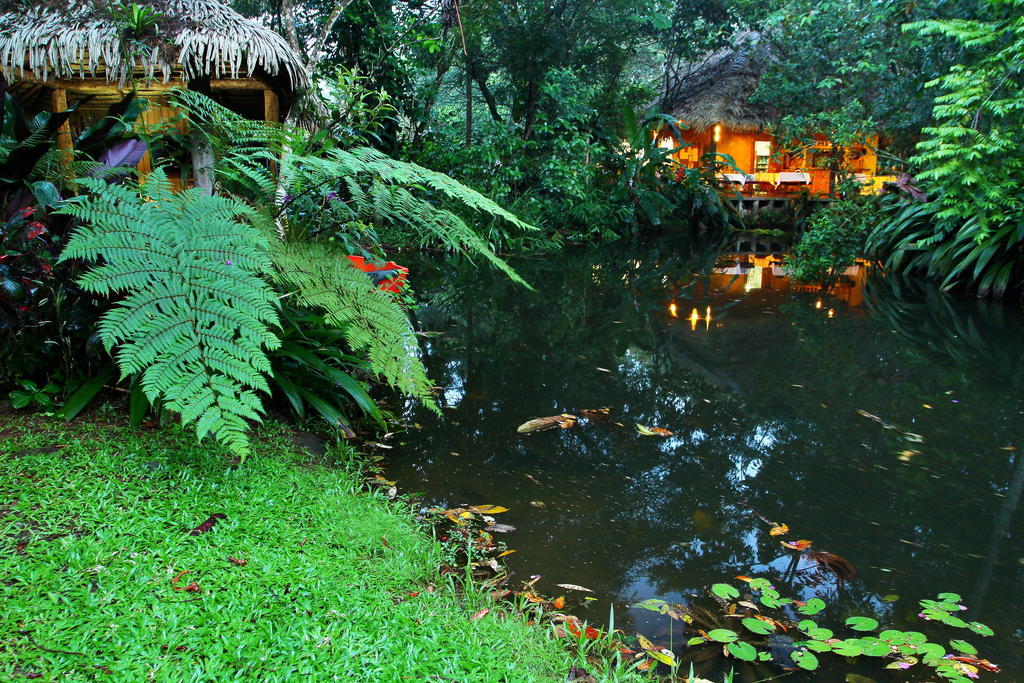 Hacienda La Isla Lodge Sarapiquí Exterior foto