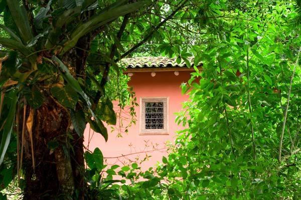 Hacienda La Isla Lodge Sarapiquí Exterior foto